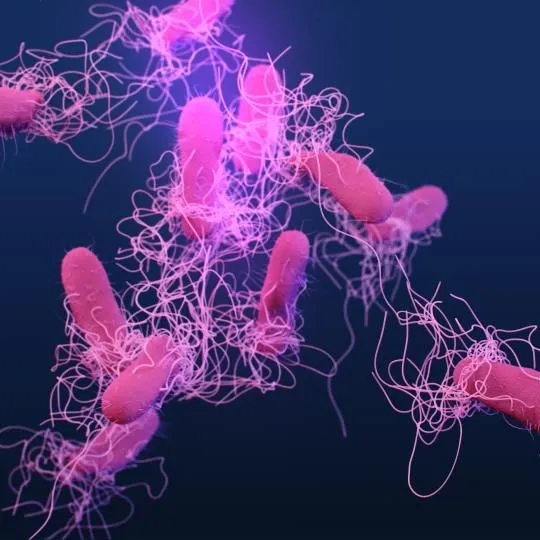 thumbnail for publication: Preventing Foodborne Illness: Salmonellosis